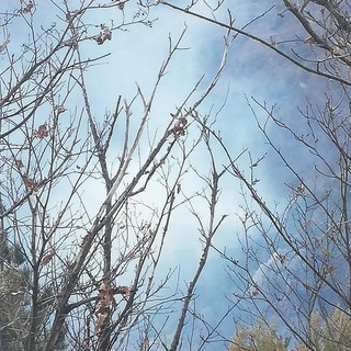 Ancora incendi in Val Maremola: vigili del fuoco in azione a Magliolo