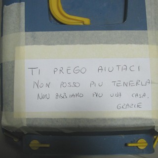 Abbandonano la gattina con un drammatico messaggio: "Non abbiamo più la casa"