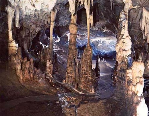 Rete dei Musei della provincia di Savona: nuove adesioni, sito rinnovato e tante esperienze per turisti e cittadini