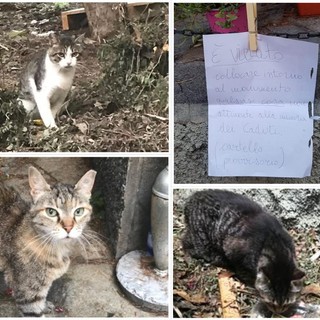 Savona, vandalizzate le cucce dietro il monumento a Santa Barbara in salita alla Villetta