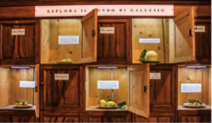 Finalborgo, visite guidate percorso museale del palazzo del tribunale Finalborgo, visite guidate percorso museale del palazzo del tribunale