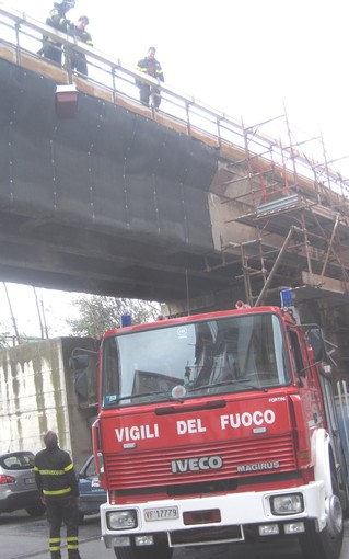Savona, gabbiano in difficoltà al porto soccorso dai vigili del fuoco: il ringraziamento dell'Enpa