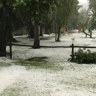 Foto scattate a Bardineto