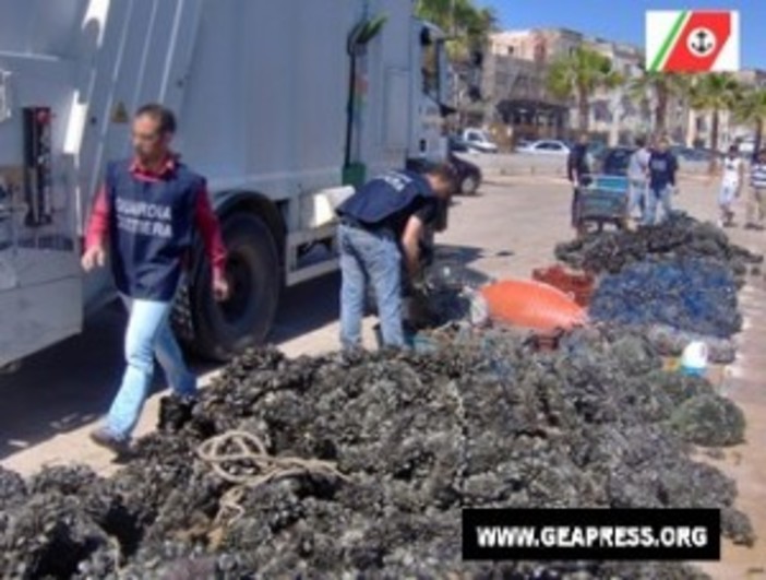 Tutta salute: Taranto, otto tonnellate di mitili sequestrati