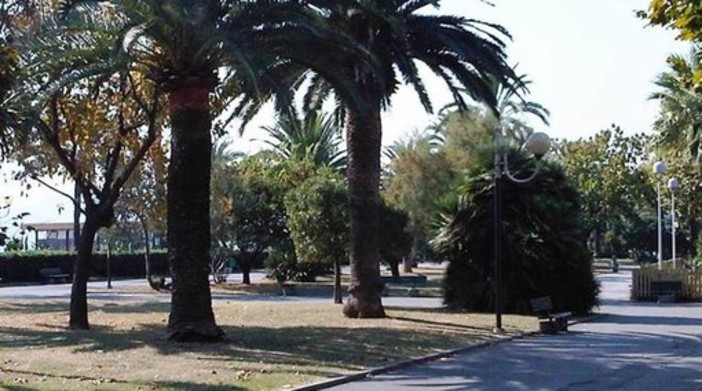 Savona, censimento del verde pubblico per un Piano di valorizzazione del patrimonio naturale urbano