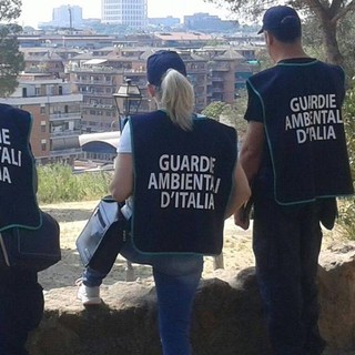Al via un corso di formazione per diventare Guardia EcoZoofile