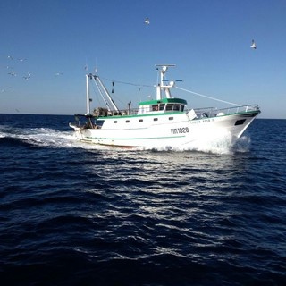 Legacoop: "Fondi per il fermo pesca bloccati da 2 anni, il Ministero ci dia una risposta"