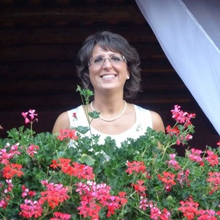 Geranio: storia, proprietà e benefici di una pianta straordinaria