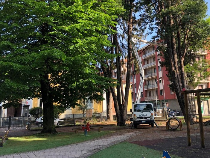 Cairo, al via la messa in sicurezza dei giardini di piazza della Vittoria (FOTO)
