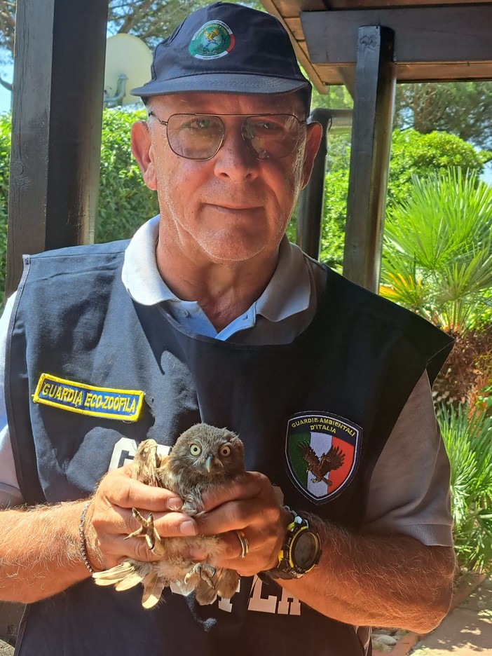 Al via sabato 4 ottobre il Corso di Formazione per Aspiranti Guardie Eco-Zoofile GADIT Al via sabato 4 ottobre il Corso di Formazione per Aspiranti Guardie Eco-Zoofile GADIT