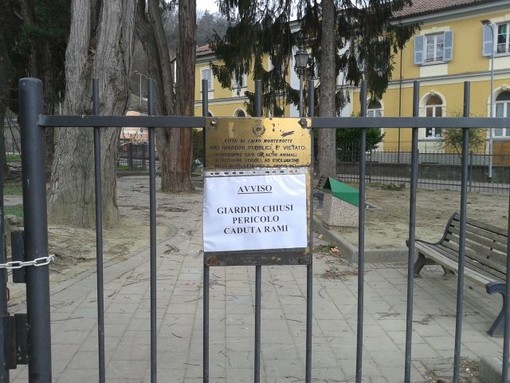 Il Comune di Cairo controlla le alberature dei giardini comunali "Bertolotti"