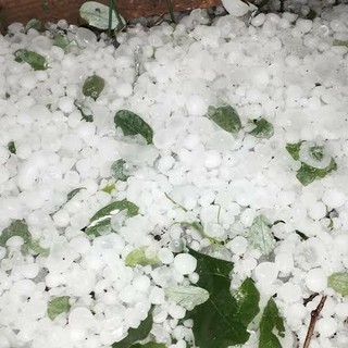 Temporali in arrivo sulla Liguria, scatta l’attenzione per grandine oltre i 2 cm e forti raffiche di vento
