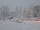 Neve a Giusvalla: blackout elettrico e alberi spezzati. A Calizzano superati i 30 cm