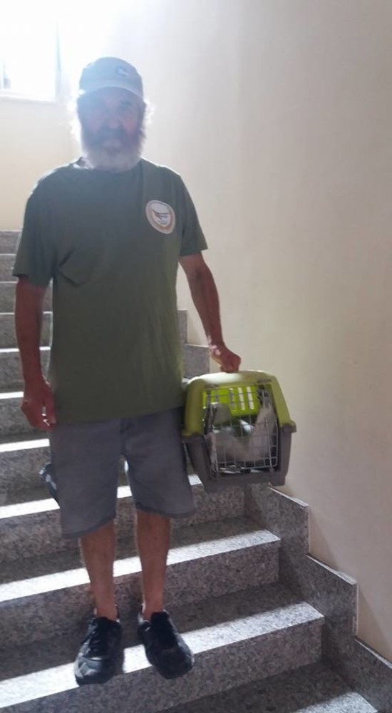 Gabbiano ferito ad un'ala "ospite" dei vigili del fuoco, preso in cura dall'Enpa