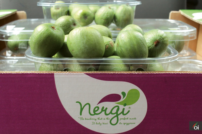 I mercoledì Veg di Ortofruit: oggi prepariamo hummus di nergi