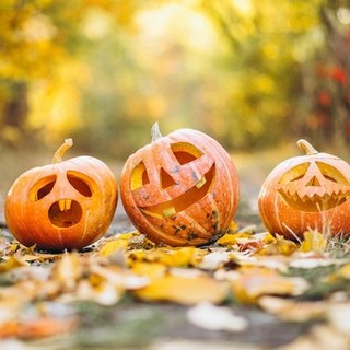 Arriva Halloween al Molo 8.44: il 31 ottobre party e giochi per grandi e piccini