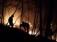 Incendio boschivo a Magliolo: situazione sotto controllo (FOTO e VIDEO)