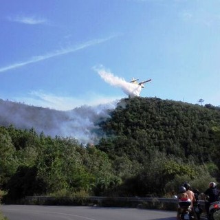 Incendio nell'entroterra di Noli: origine dolosa del rogo