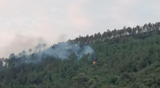 Incendio boschivo a Cisano: prosegue il presidio, nuovi focolai domati (FOTO) Incendio boschivo a Cisano: prosegue il presidio, nuovi focolai domati (FOTO)