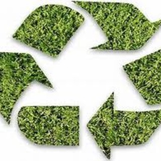 Ma quali corsi di compostaggio se poi si sversa tutto insieme al Boscaccio?