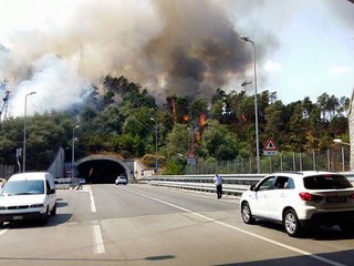 Foto tratte dal gruppo Facebook "Una passeggiata per Savona" (P. Acquati)