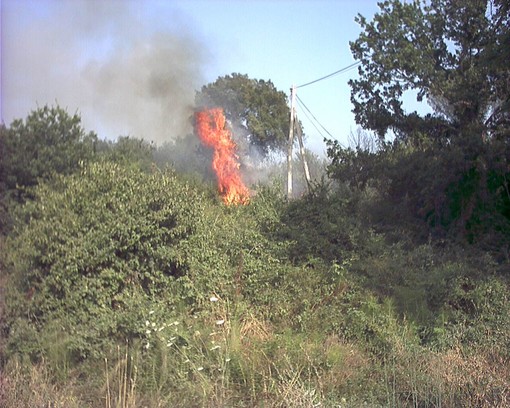 Rogo nel finalese: condannato a tre mesi per incendio colposo Rogo nel finalese: condannato a tre mesi per incendio colposo