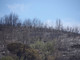 Continua a bruciare l'albenganese: oltre 400 ettari di verde distrutti, ancora diversi focolai attivi (FOTO e VIDEO)