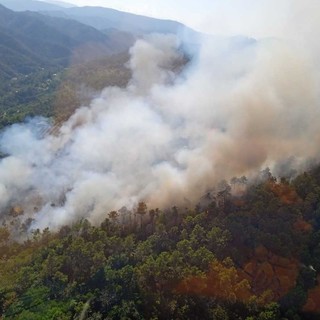 Incendi, Coldiretti: "+170% di roghi in Italia nel 2022"