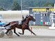La calda estate dell'Ippodromo dei Fiori