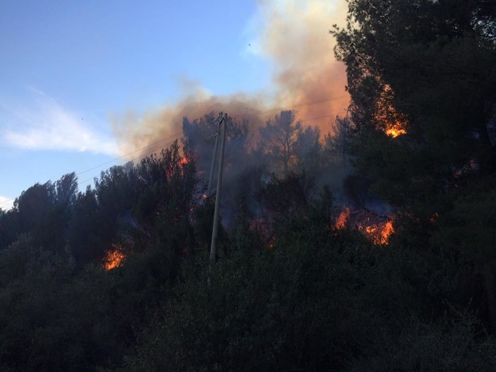 Andora: si allarga il fronte dell'incendio - Canadair ed Elicotteri in azione FOTO e VIDEO