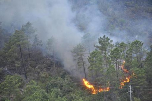 Decretato lo stato di grave pericolosità incendi boschivi
