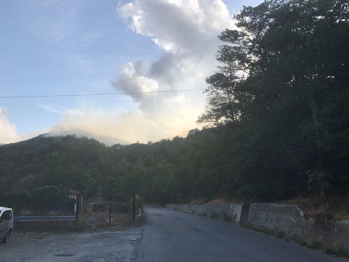 Continua ad allargarsi l'incendio boschivo tra Giusvalla e Pontinvrea, oltre 4 ettari distrutti Continua ad allargarsi l'incendio boschivo tra Giusvalla e Pontinvrea, oltre 4 ettari distrutti