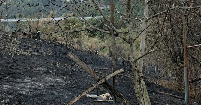 Quiliano, incendio a Cadibona: interessata una parte di zona boschiva, fiamme vicino alle abitazioni ma senza conseguenze Quiliano, incendio a Cadibona: interessata una parte di zona boschiva, fiamme vicino alle abitazioni ma senza conseguenze