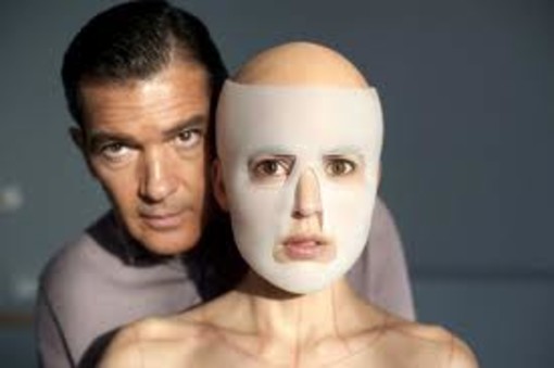 Cinema Ambra: la programmazione fino al 30 Novembre