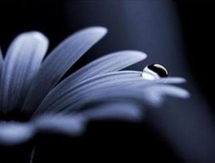 Lutto alla Croce Rossa di Vado Ligure: è mancata la volontaria Albertina Scarsi