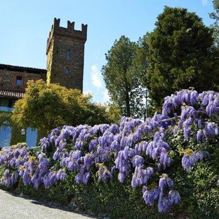Castelli e ville da sogno, ma anche immobili per aziende e da investimento. Scopriamole insieme! Castelli e ville da sogno, ma anche immobili per aziende e da investimento. Scopriamole insieme!