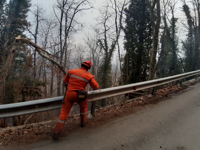 Varazze: anziano morto in un incendio nel suo terreno, una tragica fatalità Varazze: anziano morto in un incendio nel suo terreno, una tragica fatalità