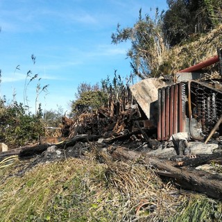 Celle, un rogo di sterpaglie si trasforma in un incendio in località Sanda