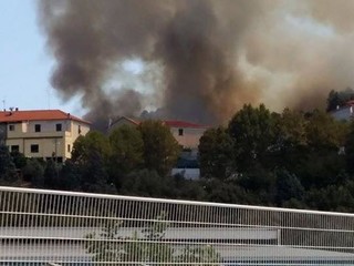 Foto tratte dal gruppo Facebook "Una passeggiata per Savona" (P. Acquati)