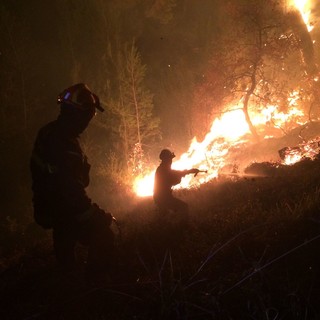 Incendio boschivo tra Andora e Cervo: vigili del fuoco in azione (FOTO)