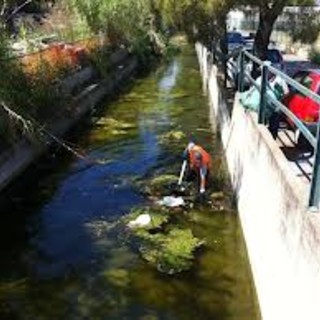 Albenga: pulizia straordinaria del Rio Avarenna