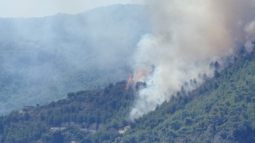 Incendi boschivi, Castellazzi (Verdi): &quot;La prevenzione deve essere potenziata con droni e videosorveglianza&quot;