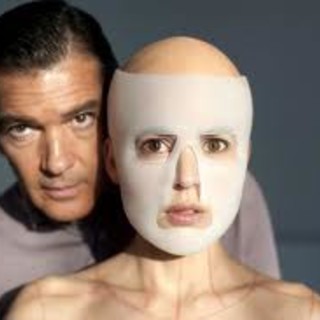 Cinema Ambra: la programmazione fino al 30 Novembre