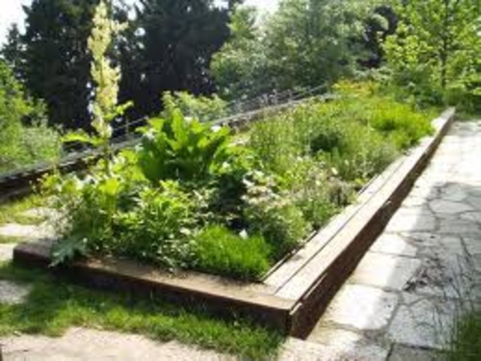 Vado: “Adotta un Aiuola” (prima che lei adotti te) Vado: “Adotta un Aiuola” (prima che lei adotti te)