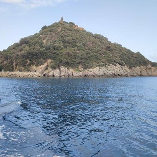 Albenga, porto rifugio della Gallinara, approvato il nuovo regolamento. Tomatis: "Un patrimonio da rendere fruibile"