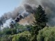 Emergenza roghi in Liguria: 167 casi nei primi sette mesi, bruciati 611 ettari Emergenza roghi in Liguria: 167 casi nei primi sette mesi, bruciati 611 ettari