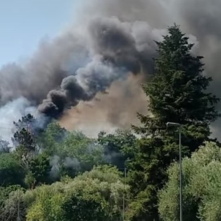 Emergenza roghi in Liguria: 167 casi nei primi sette mesi, bruciati 611 ettari Emergenza roghi in Liguria: 167 casi nei primi sette mesi, bruciati 611 ettari