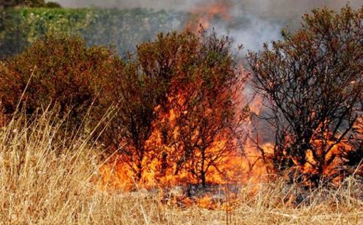 Fuoco nell'entroterra imperiese Fuoco nell'entroterra imperiese