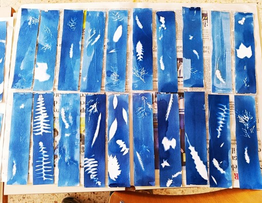 Vado Ligure, passeggiata botanica e laboratorio di cianotipia: un pomeriggio tra natura e creatività Vado Ligure, passeggiata botanica e laboratorio di cianotipia: un pomeriggio tra natura e creatività