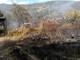 Albissola Marina: incendio bosco, intervento dei vigili del fuoco